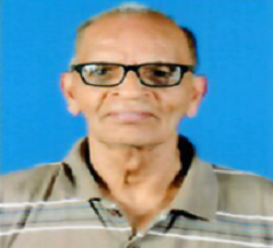 Prof. D. N. S. Bhat